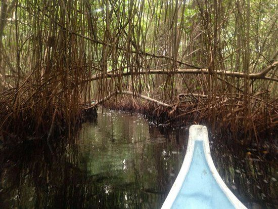 Ciénaga la Caimanera